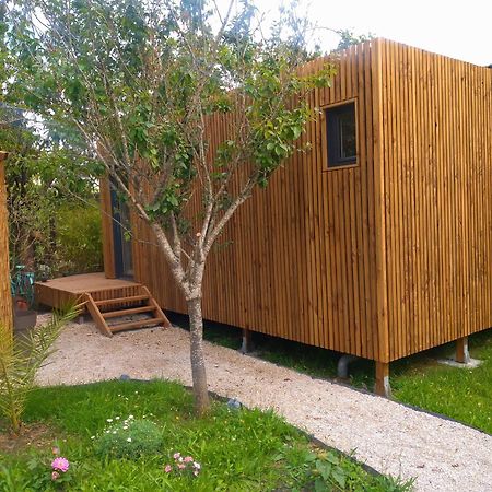 La Cabane Du Figuier A 朗布依埃 外观 照片